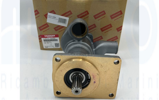 Ass. Pompa 119171-42502