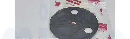 Guarnizione 4″, 2 Fori 119175-33380