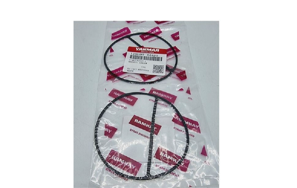 Guarnizione, Refrigerante Acqua Dolce 129693-44420