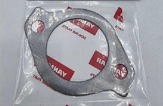 Guarnizione (Non Amianto) 129795-49551