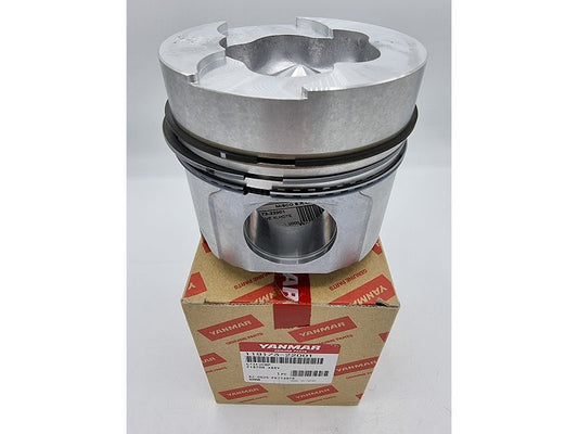 Ass. Pistone 119173-22001