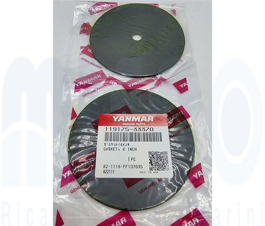 Guarnizione 4″ 119175-33370