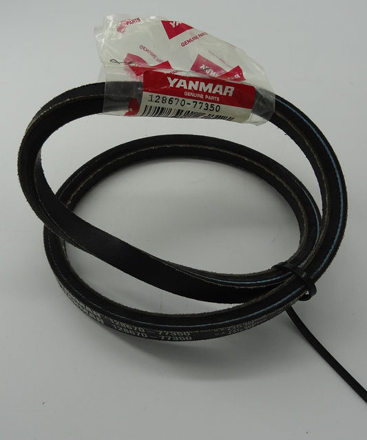 Cinghia a V, Alternatore 128670-77350E
