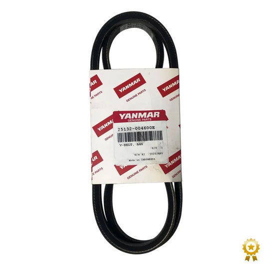 Cinghia a V 25132-004600E