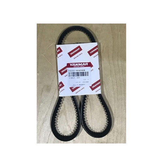 Cinghia a V 25152-004300E